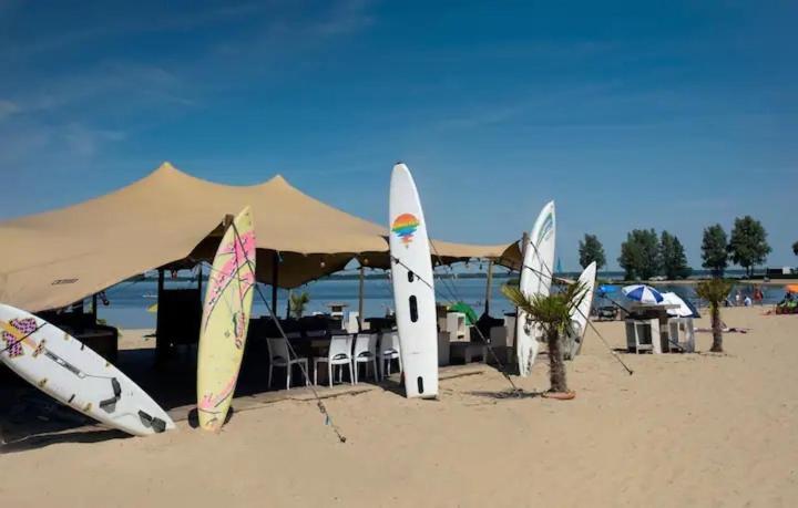 Traum Ferienhaus Mit Dachterrasse Am Veluwemeer Hulshorst Bagian luar foto